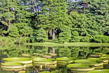 Amazonas Reise