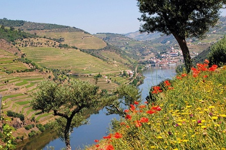 Douro Flusskreuzfahrt ab Porto, Portugal